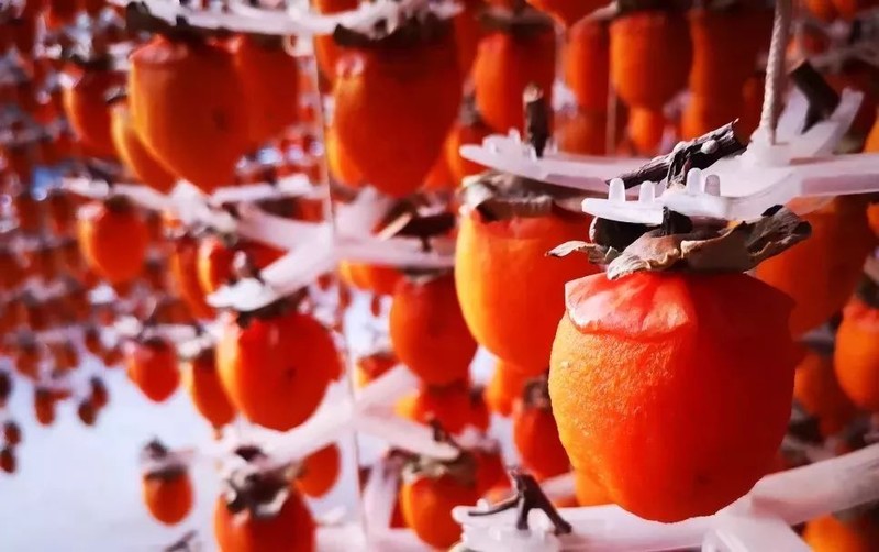 年度必吃！富平吊柿饼，咬一口，有流心