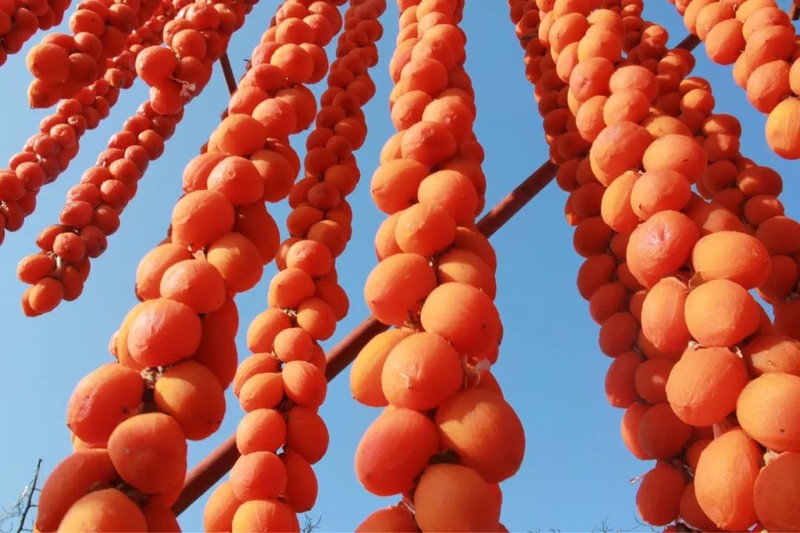 年度必吃！富平吊柿饼，咬一口，有流心