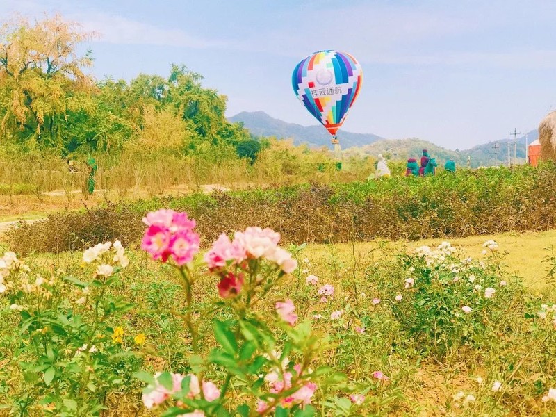 随州千年银杏谷最佳观赏期到了，此时不来更待何时