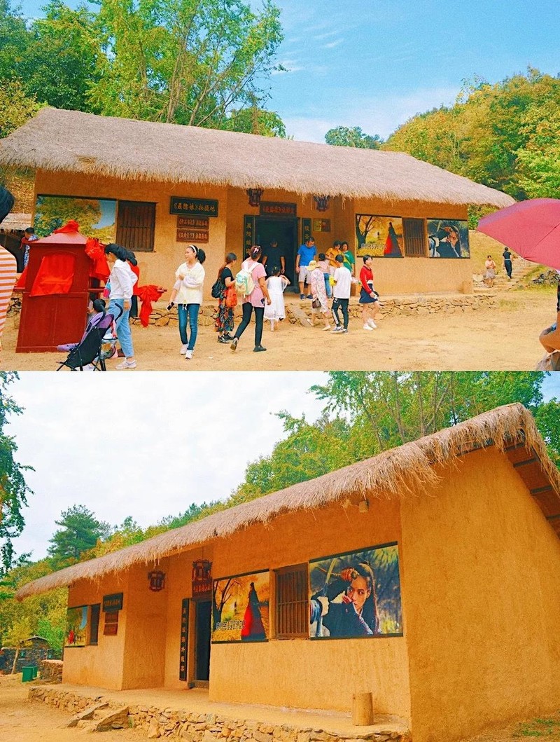 随州千年银杏谷最佳观赏期到了，此时不来更待何时