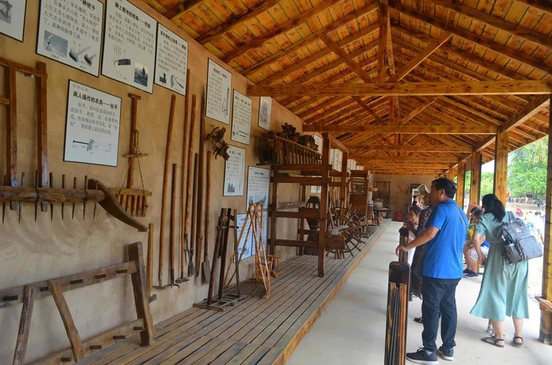 随州千年银杏谷最佳观赏期到了，此时不来更待何时