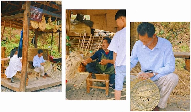 随州千年银杏谷最佳观赏期到了，此时不来更待何时