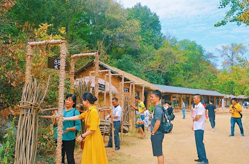 随州千年银杏谷最佳观赏期到了，此时不来更待何时