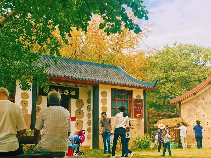 随州千年银杏谷最佳观赏期到了，此时不来更待何时