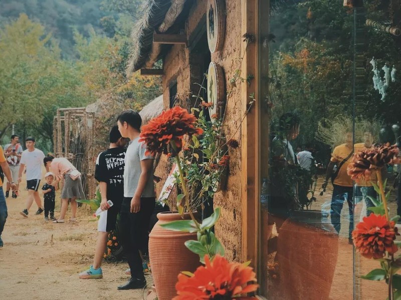 随州千年银杏谷最佳观赏期到了，此时不来更待何时