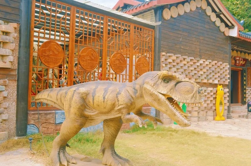 随州千年银杏谷最佳观赏期到了，此时不来更待何时