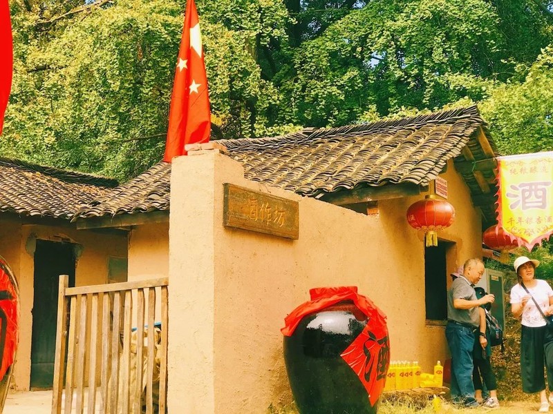 随州千年银杏谷最佳观赏期到了，此时不来更待何时