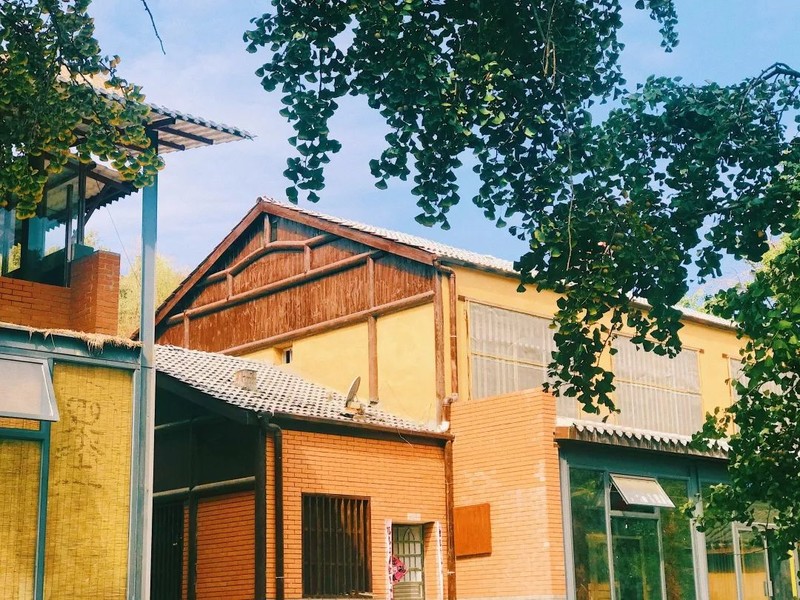 随州千年银杏谷最佳观赏期到了，此时不来更待何时