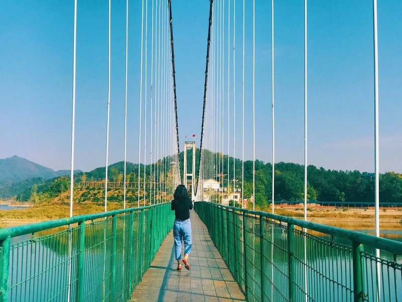 随州千年银杏谷最佳观赏期到了，此时不来更待何时