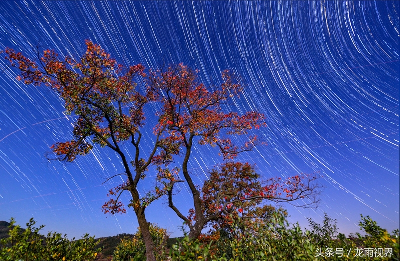 红色大悟红叶红醉了游人