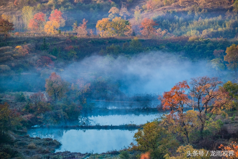 红色大悟红叶红醉了游人