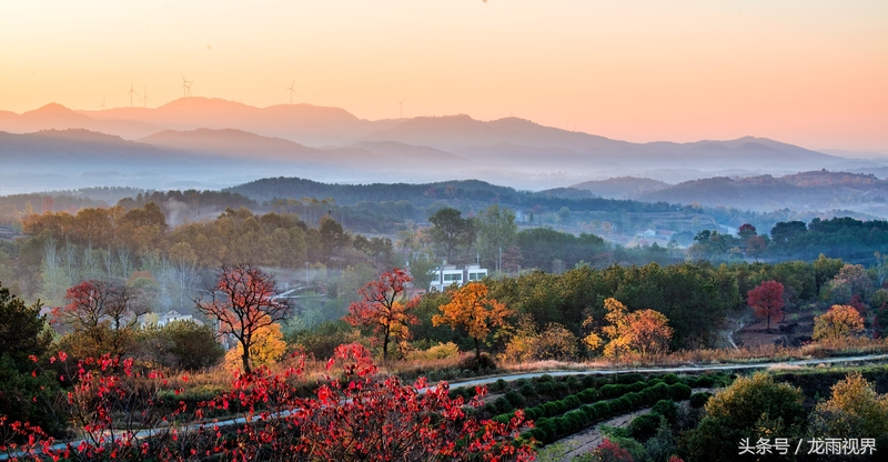 红色大悟红叶红醉了游人
