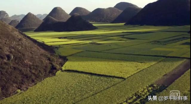 罗平油菜花海、九龙瀑布在热播剧《庆余年》中惊艳亮相，太美了