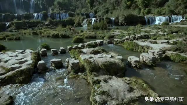 罗平油菜花海、九龙瀑布在热播剧《庆余年》中惊艳亮相，太美了