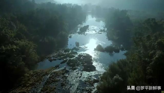 罗平油菜花海、九龙瀑布在热播剧《庆余年》中惊艳亮相，太美了