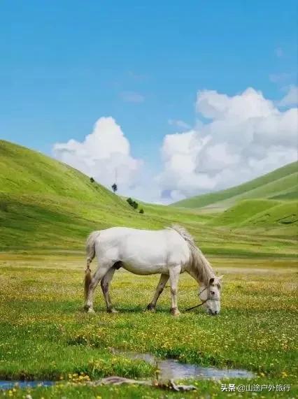 甘南为什么值得去呢？