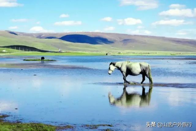 甘南为什么值得去呢？