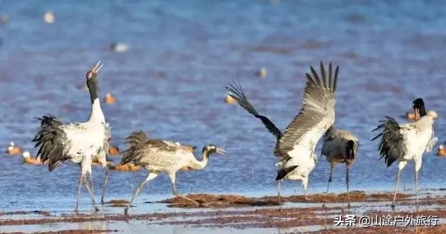 甘南为什么值得去呢？