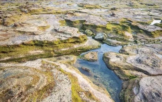 涠洲岛，一个一年四季都很美的地方