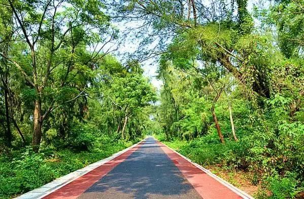 涠洲岛，一个一年四季都很美的地方