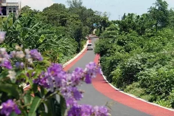 涠洲岛，一个一年四季都很美的地方