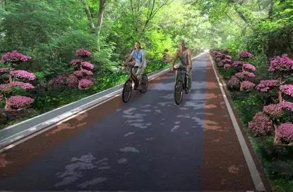 涠洲岛，一个一年四季都很美的地方