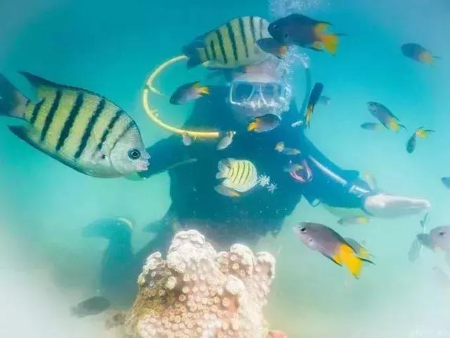 涠洲岛，深海中的世外桃源
