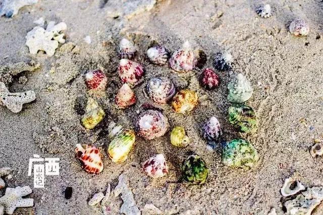 涠洲岛，深海中的世外桃源