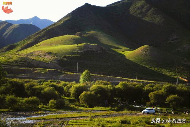电影“天下无贼”取景地，九色甘南必去之地，被誉“世界藏学府”