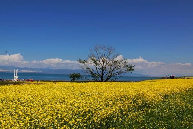 青海湖，一个湖与海地老天荒的地方