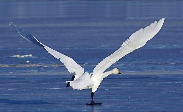 青海湖，一个湖与海地老天荒的地方