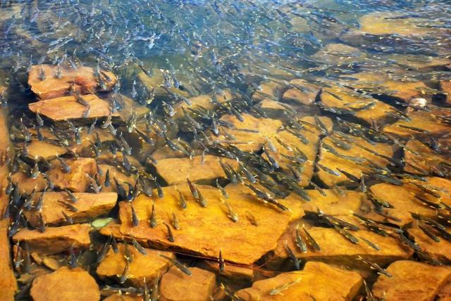 青海湖，一个湖与海地老天荒的地方