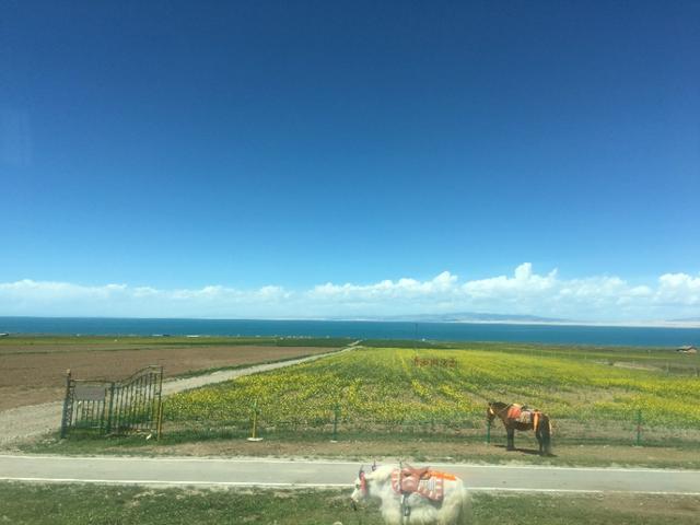 青海湖，美丽动人让人无限神往的地方，去过一次还想再去！