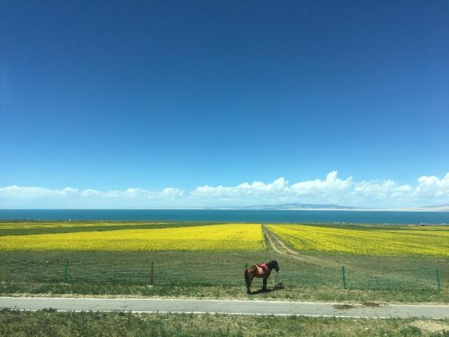 青海湖，美丽动人让人无限神往的地方，去过一次还想再去！