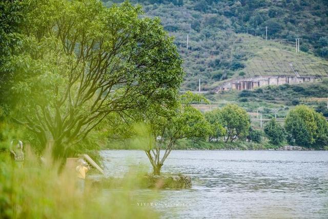 一生必去的云南洱海，被无数人喜爱，网友：比泸沽湖更美