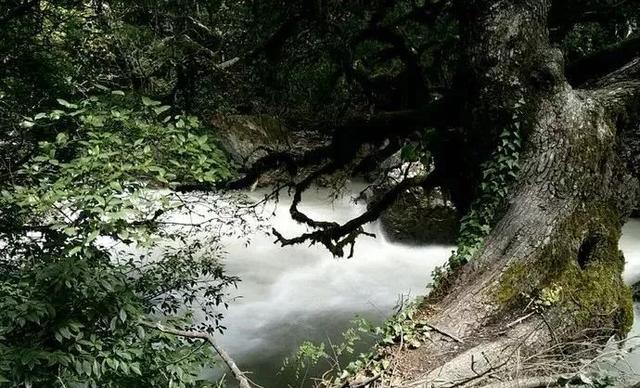 雨崩村，神仙的住所