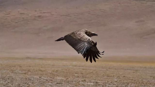 去过，才知道什么是真正的西藏