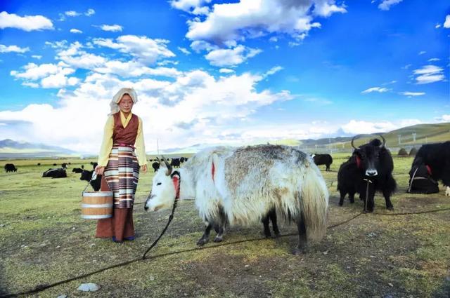 去过，才知道什么是真正的西藏