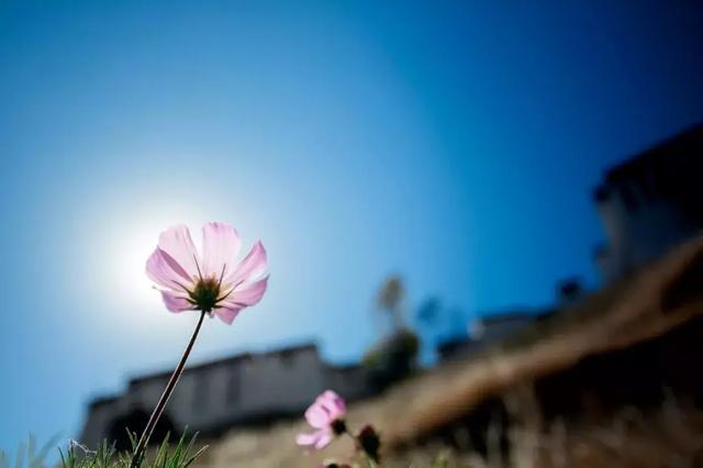 去过，才知道什么是真正的西藏