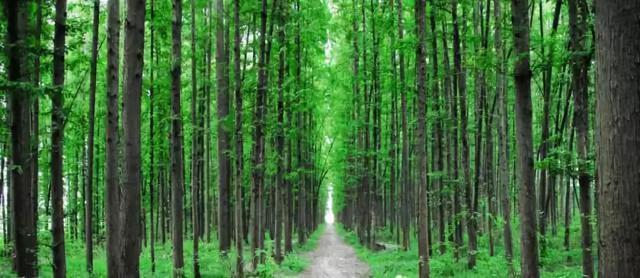 恩施，凭什么惊艳世界？