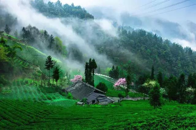 恩施，究竟有怎样的魅力，  获得这么多的赞誉呢？