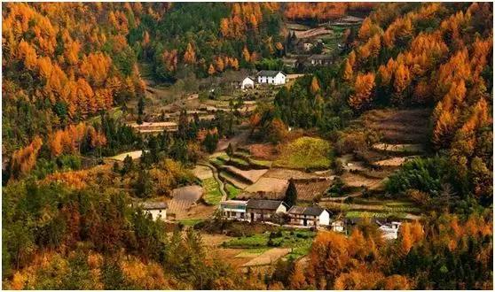 恩施，究竟有怎样的魅力，  获得这么多的赞誉呢？