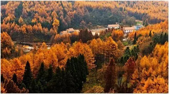 恩施，究竟有怎样的魅力，  获得这么多的赞誉呢？