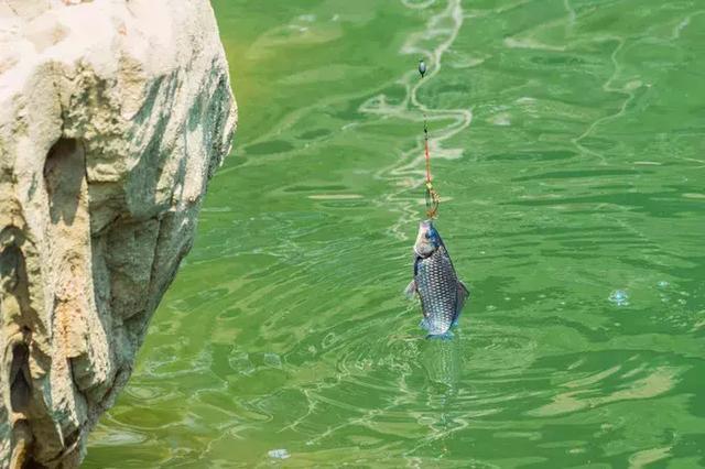 恩施，究竟有怎样的魅力，  获得这么多的赞誉呢？