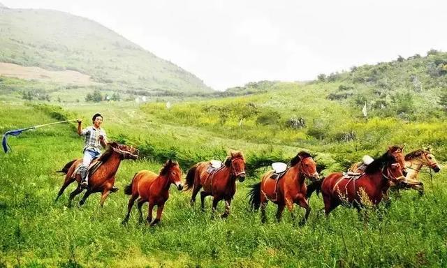 恩施，究竟有怎样的魅力，  获得这么多的赞誉呢？