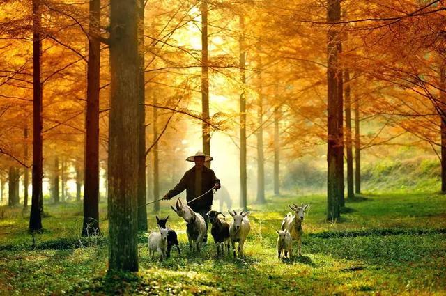 恩施，究竟有怎样的魅力，  获得这么多的赞誉呢？