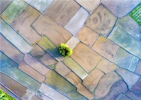 恩施，究竟有怎样的魅力，  获得这么多的赞誉呢？