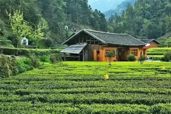 恩施，究竟有怎样的魅力，  获得这么多的赞誉呢？