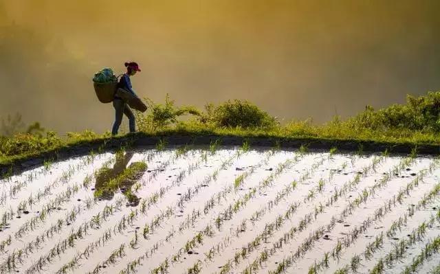 恩施，究竟有怎样的魅力，  获得这么多的赞誉呢？