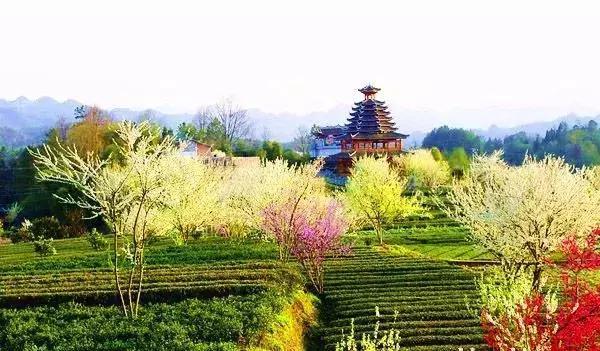 恩施，究竟有怎样的魅力，  获得这么多的赞誉呢？